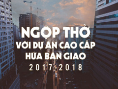 Ảnh bìa bài viết 458858