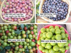 Ảnh bìa bài viết 458745