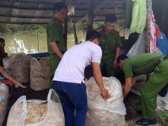 Ảnh bìa bài viết 459272