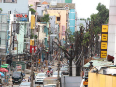 Ảnh bìa bài viết 459280
