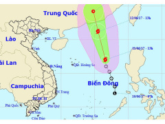 Ảnh bìa bài viết 459425