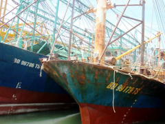 Ảnh bìa bài viết 459476