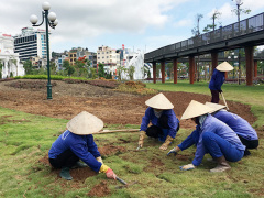 Ảnh bìa bài viết 459414