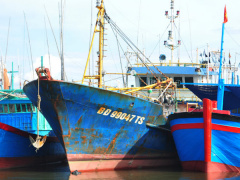 Ảnh bìa bài viết 459416