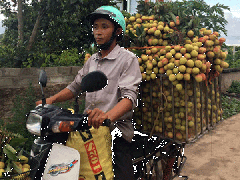 Ảnh bìa bài viết 459394