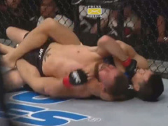 Ảnh bìa bài viết 459389