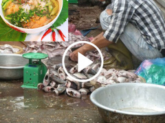 Ảnh bìa bài viết 459470
