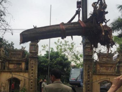 Ảnh bìa bài viết 459747