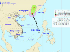 Ảnh bìa bài viết 459760
