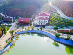 Ảnh bìa bài viết 459634