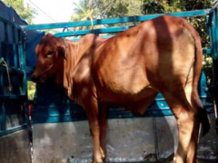 Ảnh bìa bài viết 459684