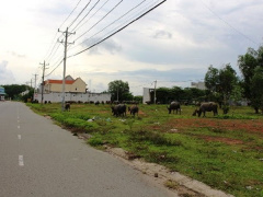Ảnh bìa bài viết 459696