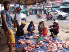 Ảnh bìa bài viết 459859