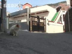 Ảnh bìa bài viết 459946