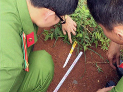 Ảnh bìa bài viết 459810