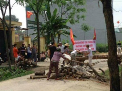 Ảnh bìa bài viết 460010