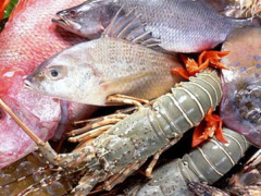 Ảnh bìa bài viết 460049