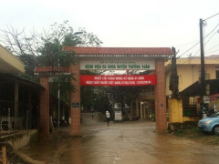 Ảnh bìa bài viết 460294