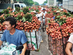 Ảnh bìa bài viết 460586