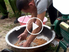 Ảnh bìa bài viết 460965