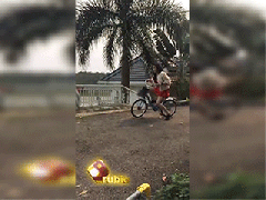 Ảnh bìa bài viết 460999