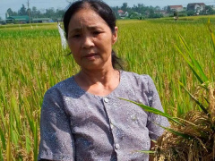 Ảnh bìa bài viết 460867