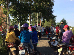 Ảnh bìa bài viết 460944