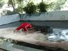 Ảnh bìa bài viết 460926