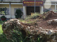 Ảnh bìa bài viết 460964