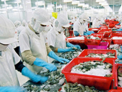 Ảnh bìa bài viết 461386