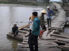 Ảnh bìa bài viết 461425