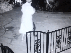 Ảnh bìa bài viết 461348