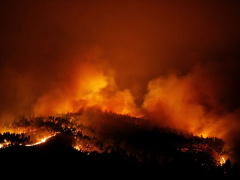 Ảnh bìa bài viết 461215