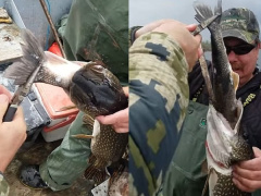 Ảnh bìa bài viết 461549