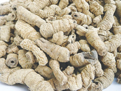 Ảnh bìa bài viết 461914