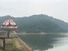 Ảnh bìa bài viết 461783