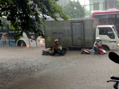 Ảnh bìa bài viết 462330
