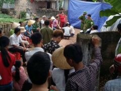 Ảnh bìa bài viết 462517