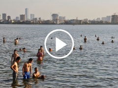 Ảnh bìa bài viết 462711