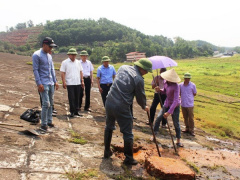 Ảnh bìa bài viết 463094