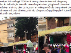 Ảnh bìa bài viết 463181