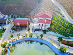 Ảnh bìa bài viết 463108