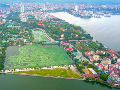 Ảnh bìa bài viết 463538