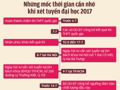 Ảnh bìa bài viết 463480