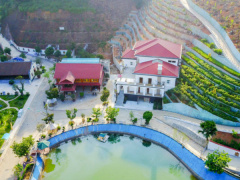 Ảnh bìa bài viết 463799