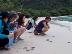 Ảnh bìa bài viết 463837