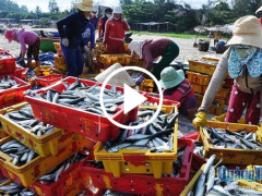 Ảnh bìa bài viết 463751