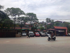 Ảnh bìa bài viết 464303