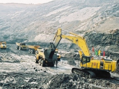 Ảnh bìa bài viết 464231