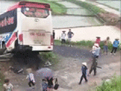 Ảnh bìa bài viết 464252